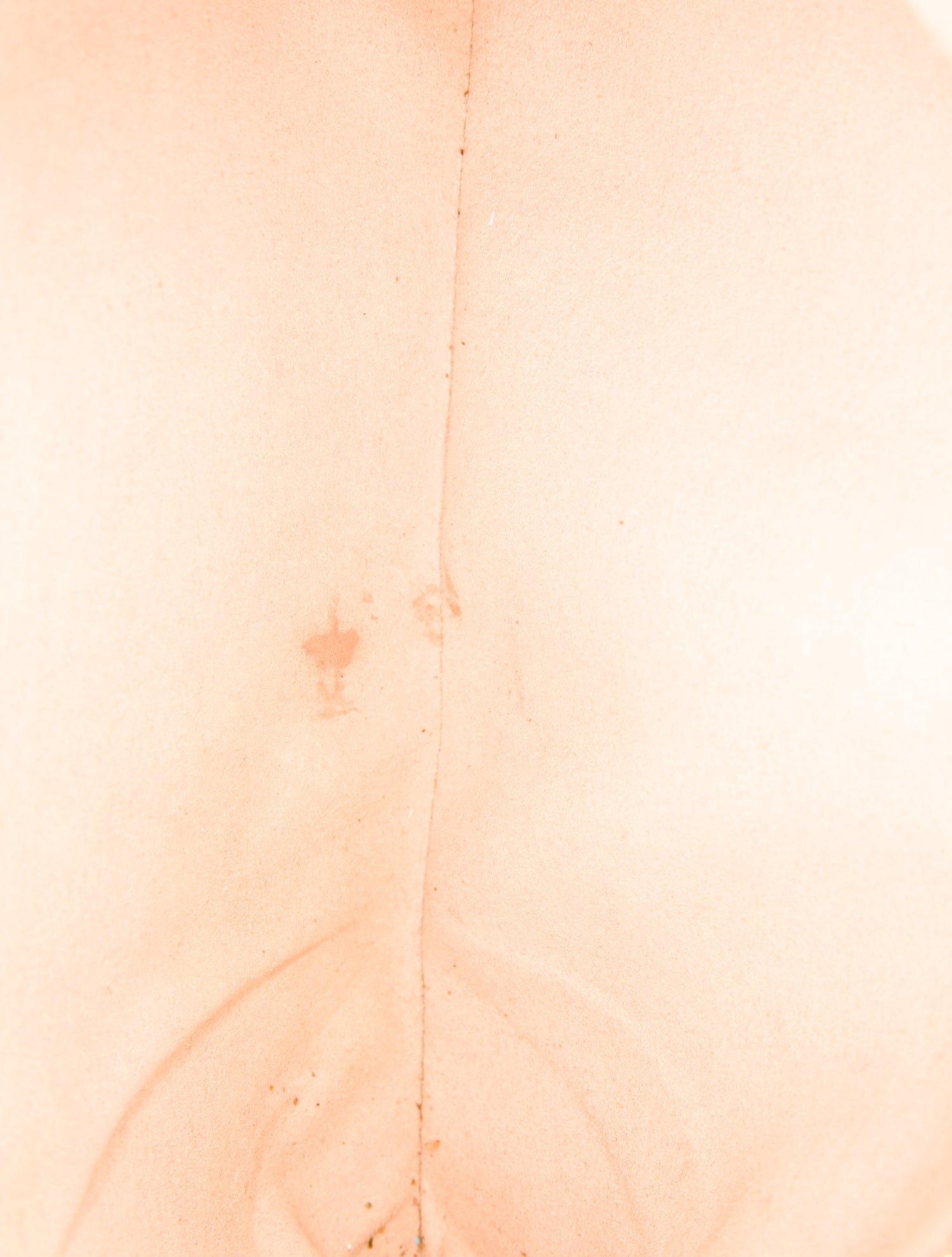 Gucci GG Supreme Ophidia