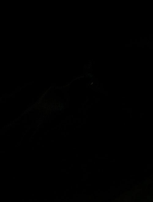 Gucci Web Techno Backpack