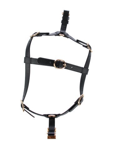 Gucci Pet Accessories Dog Demetra Harness
