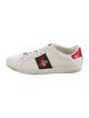 Gucci Web Accent Leather Sneakers