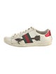 Gucci Web Accent Leather Sneakers