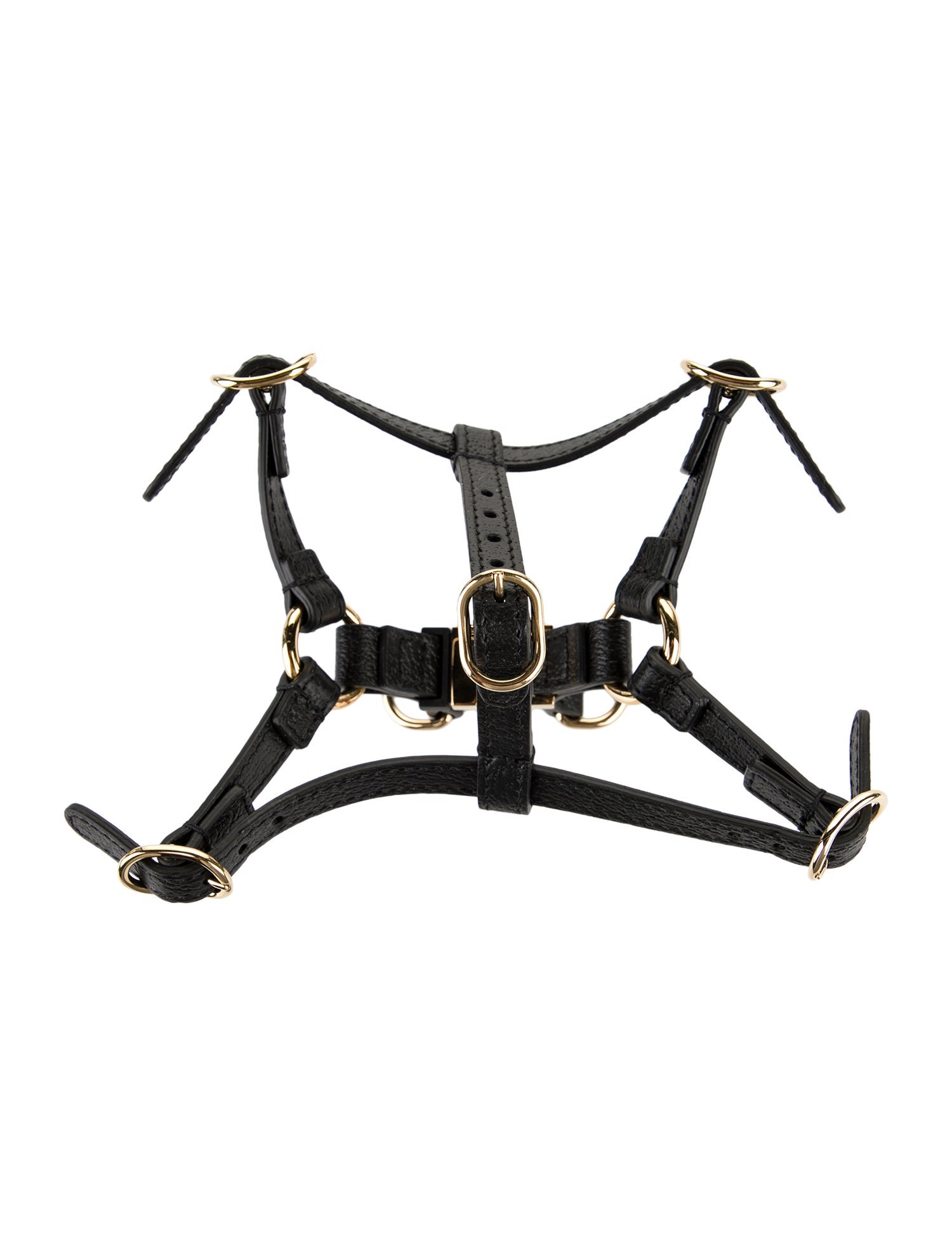 Gucci Demetra Pet Harness