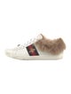 Gucci Sylvie Web Accent Leather Sneakers