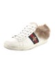 Gucci Sylvie Web Accent Leather Sneakers