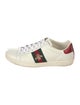 Gucci Web Accent Leather Sneakers
