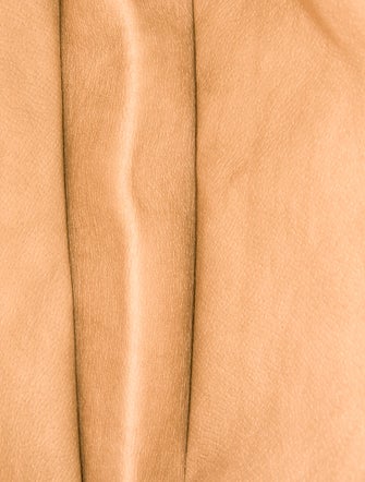 Gucci Canvas Portfolio