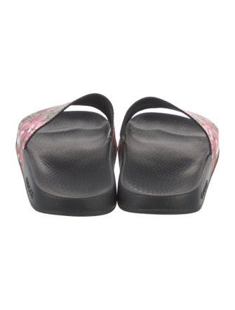 Gucci Printed Slides