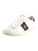 Gucci Web Accent Leather Sneakers