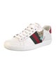 Gucci Web Accent Leather Sneakers