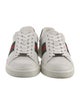 Gucci Web Accent Leather Sneakers