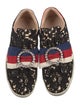Gucci Sylvie Web Accent Lace Sneakers