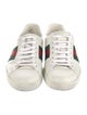 Gucci Web Accent Leather Sneakers