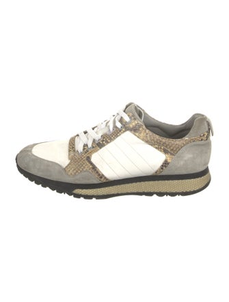 Gucci Web Accent Python Sneakers