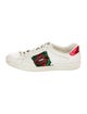 Gucci Web Accent Leather Sneakers