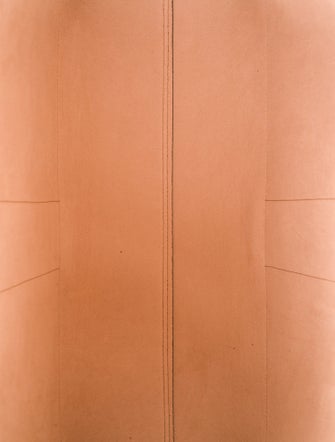 Gucci GG Supreme Ophidia