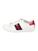 Gucci Sylvie Web Accent Leather Sneakers