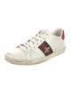 Gucci Web Accent Leather Sneakers