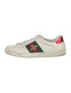 Gucci Web Accent Leather Sneakers