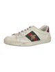 Gucci Web Accent Leather Sneakers