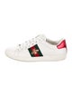 Gucci Web Accent Leather Sneakers