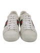 Gucci Web Accent Leather Sneakers