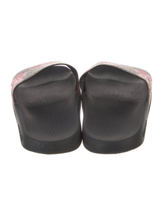 Gucci Pursuit GG Supreme Slides