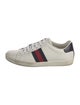 Gucci Sylvie Web Accent Leather Sneakers