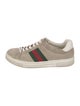 Gucci Web Accent Suede Sneakers