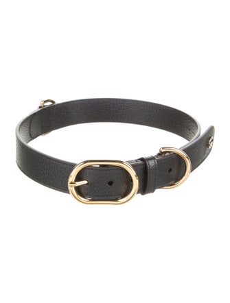 Gucci Dog Collar