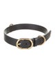 Gucci Dog Collar