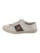 Gucci Web Accent Leather Sneakers