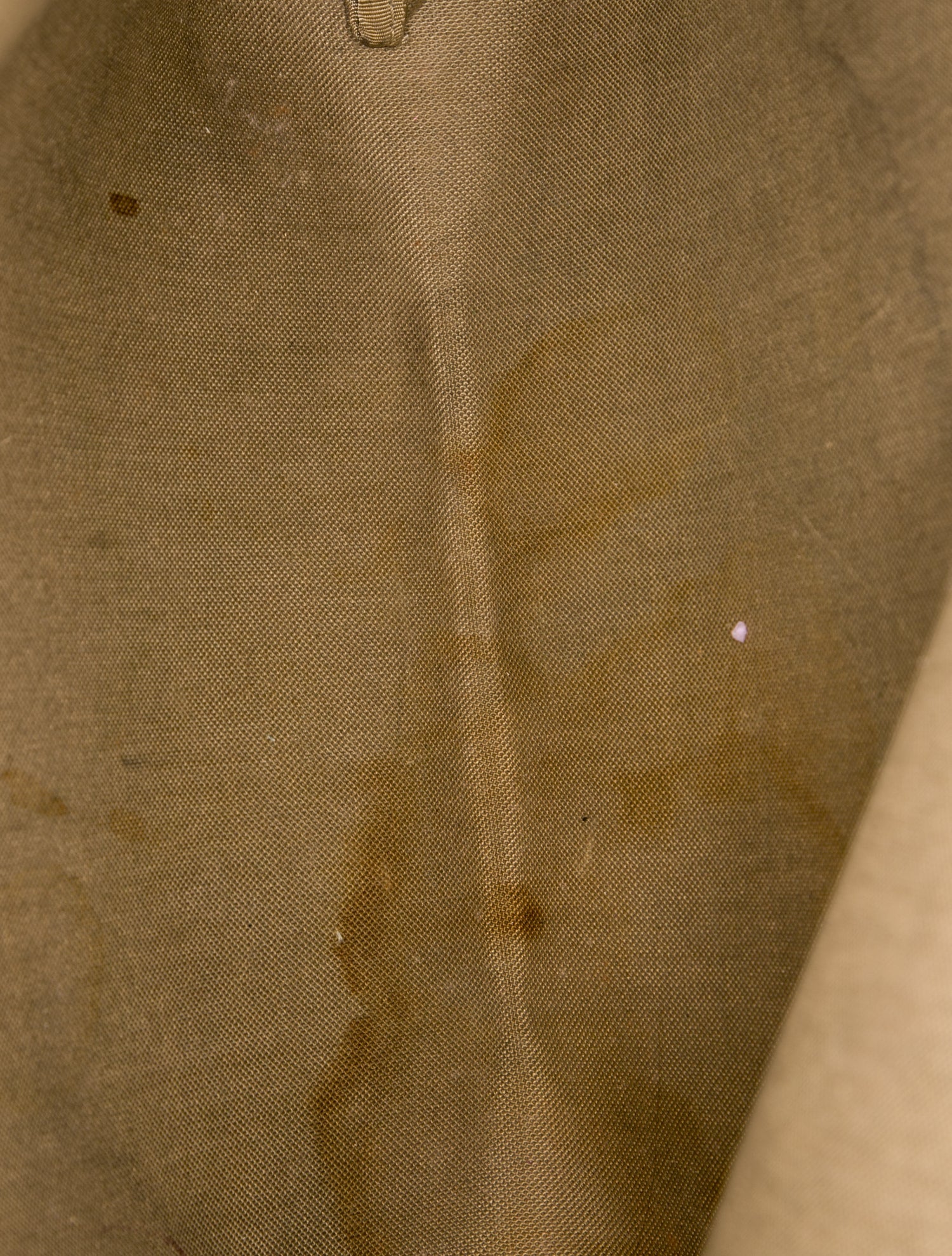 Gucci GG Supreme Ophidia