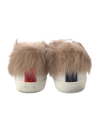 Gucci Sylvie Web Accent Leather Sneakers