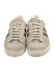 Gucci Web Accent Suede Sneakers