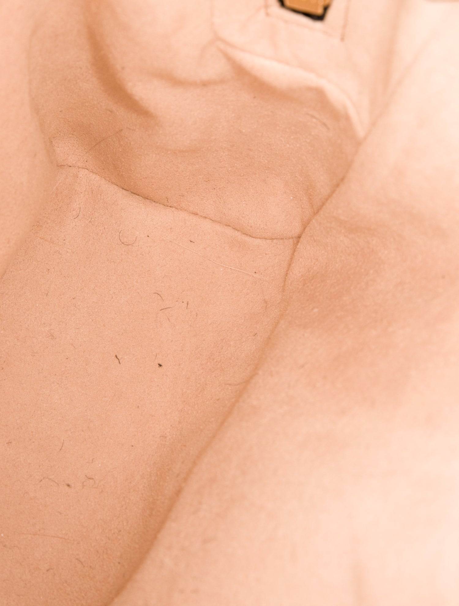 Gucci GG Supreme Eden