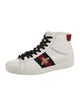 Gucci Web Accent Leather Sneakers