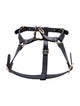 Gucci Demetra Pet Harness