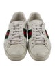 Gucci Web Accent Leather Sneakers