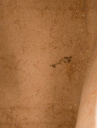 Gucci GG Supreme Ophidia