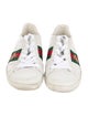 Gucci Web Accent Leather Sneakers