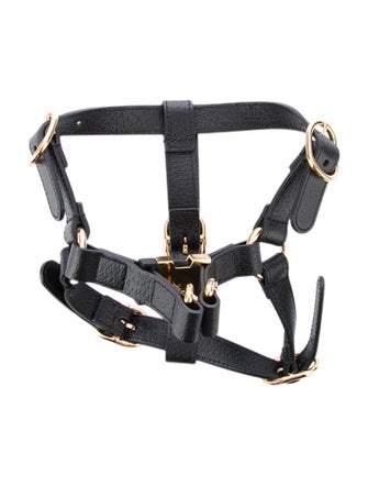 Gucci Small Dog Harness