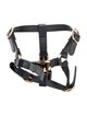 Gucci Small Dog Harness