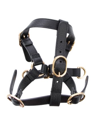 Gucci Small Dog Harness