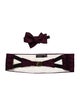 Gucci Cummerband and Bow Tie Set