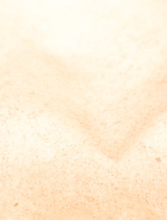 Gucci GG Plus Ophidia