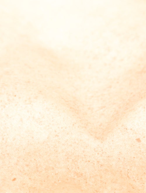 Gucci GG Plus Ophidia