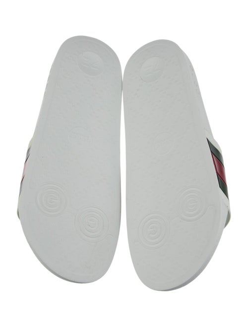 Gucci Pursuit Web Accent