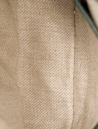 Gucci GG Canvas Lady Web Small