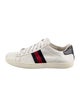 Gucci Sylvie Web Accent Leather Sneakers