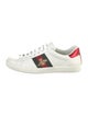 Gucci Web Accent Leather Sneakers